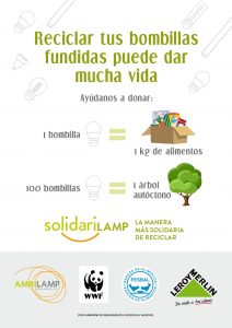 SOLIDARILAMP