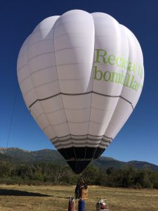 Globo Ambilamp