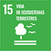 ODS. Objetivos de desarrollo sostenible